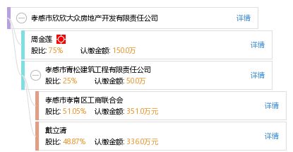 孝感市欣欣大众房地产开发有限责任公司 工商信息 信用报告 财务报表 电话地址查询 天眼查